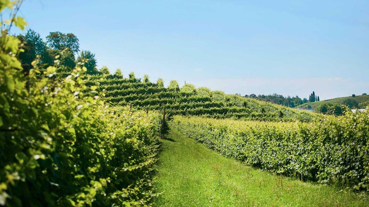 Agriturismo Roccat Valdobbiadene Kültér fotó
